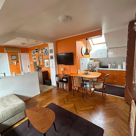 Kockica U Krovu Novi Sad