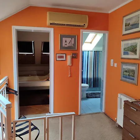 Kockica U Krovu Novi Sad