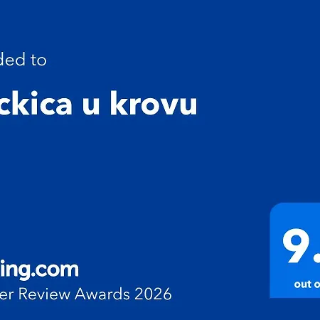 Kockica U Krovu Novi Sad