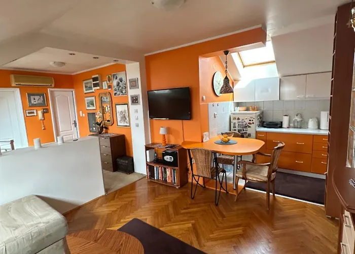 Kockica U Krovu نوفي ساد