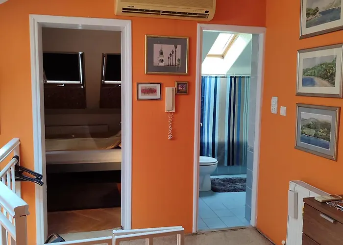 Kockica U Krovu نوفي ساد